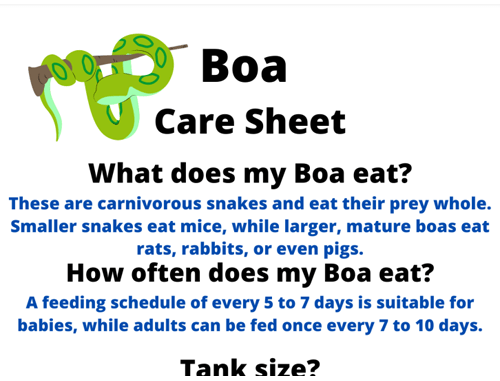 boa care sheet
