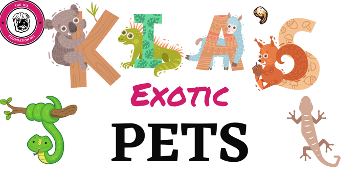 exotic-pets