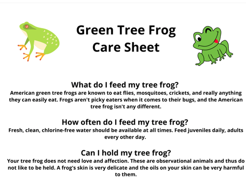 Green Tree Frog care sheet